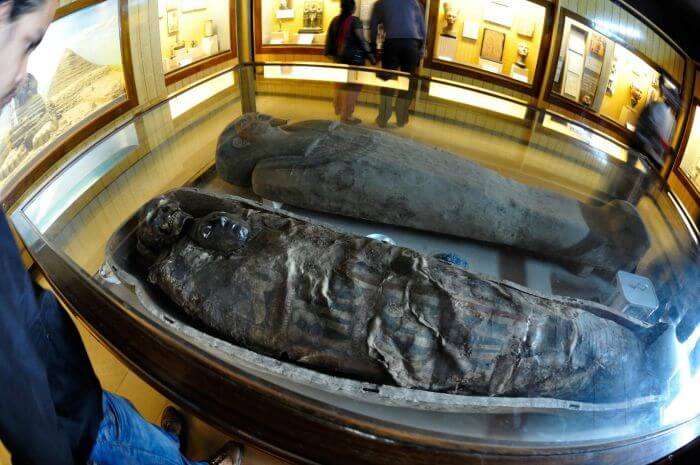 Egyptian mummies in Indian Museum – The largest museum in India 
