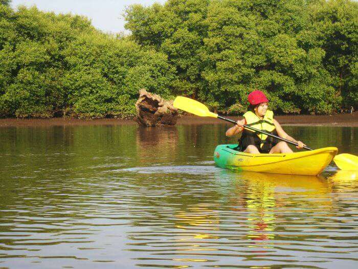 kayaking in the Goan Backwaters