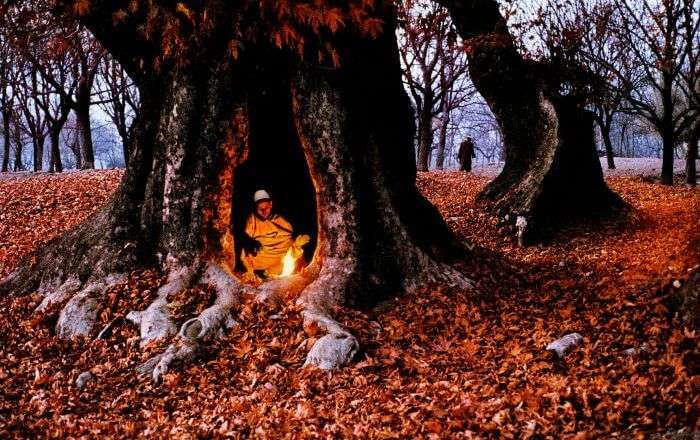 A local tries to keep himself warm inside a maple grove during autumn in Srinagar