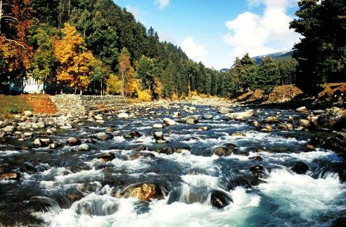 The flowing Lidder river in Pahalgam