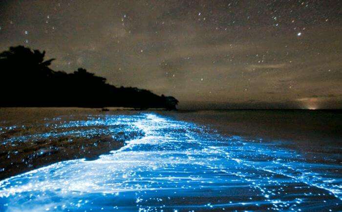 Glowing bioluminescent beach of Manasquan at New Jersey
