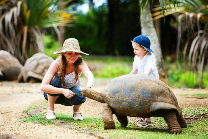 Mother son duo meeting an old tortoise in Parc Francois Leguat in Mauritius