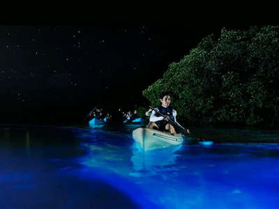10 of the world's best bioluminescent beaches - Times Travel