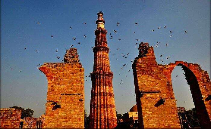 Wings taking on to the Qutub Minar