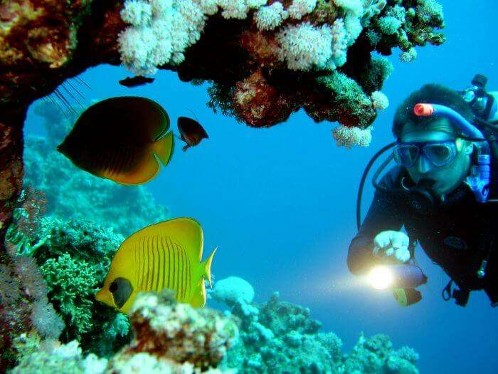 A diver explores the underwater corals and exquisite marine life while scuba diving in Bali.