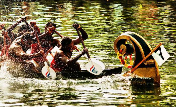 Snake Boat Race