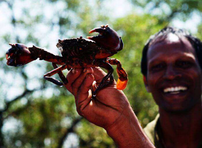 crab fishing in Goa