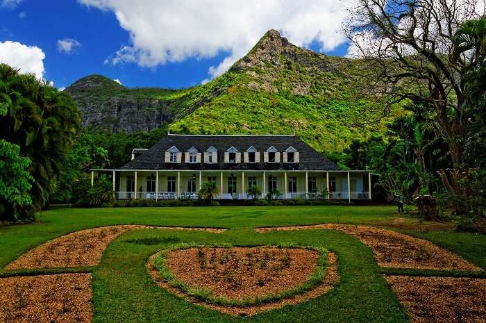 The lush greenery and the beautiful backdrop at the Eureka House Museum