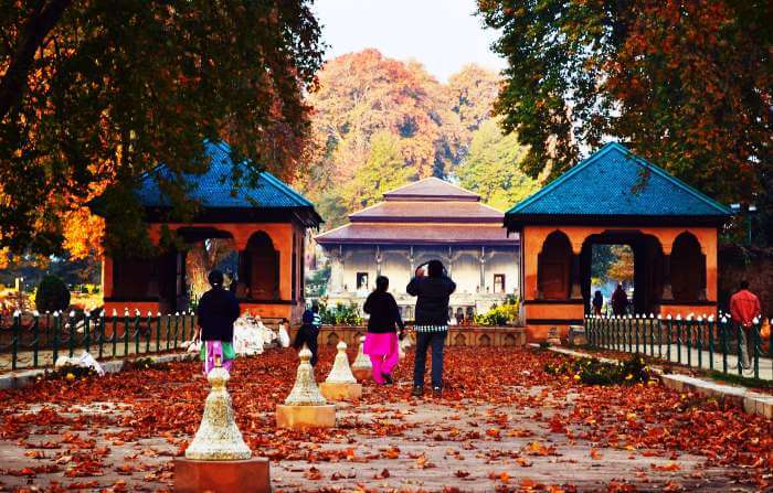 A family visits the Shalimar Gardens in Kashmir in the autumn season