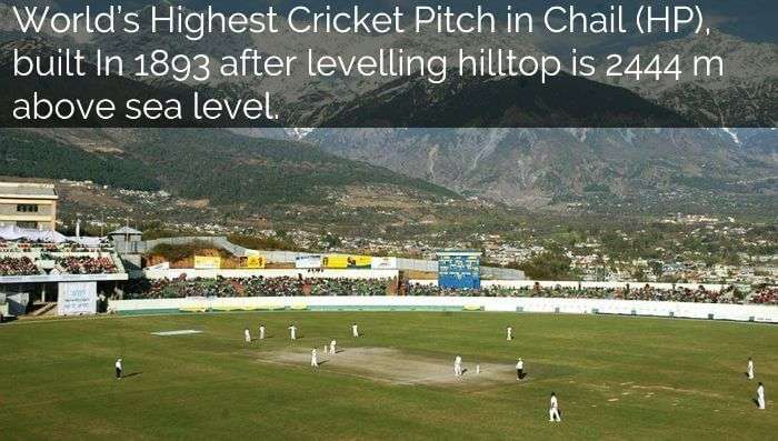 Worlds highest cricket pitch