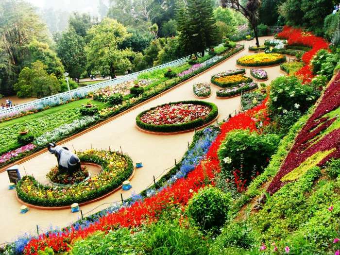 Rose garden in Chandigarh