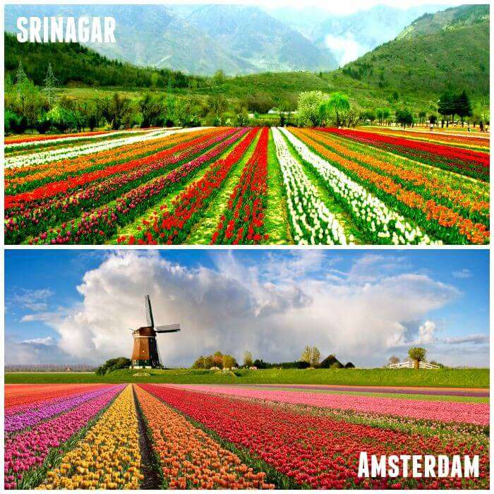 Srinagar and amstradam are look alike