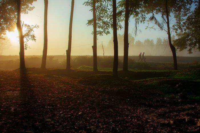 Two men walk in the early autumn morning mist along the banks of the river Jhelum