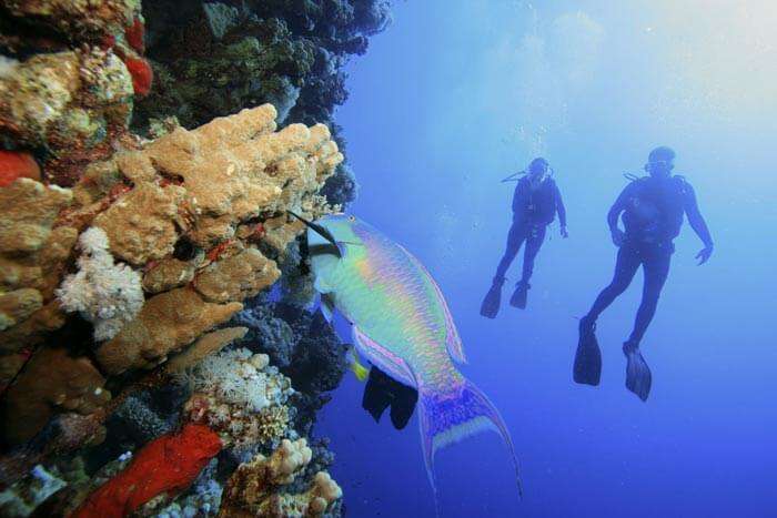 A couple admiring the underwater life while scuba diving in Andaman, one of the quaint budget honeymoon destinations in India