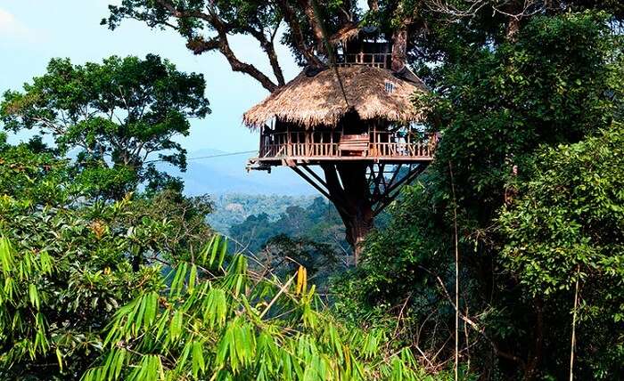Bokeo Natural Reserve in Laos have tree houses