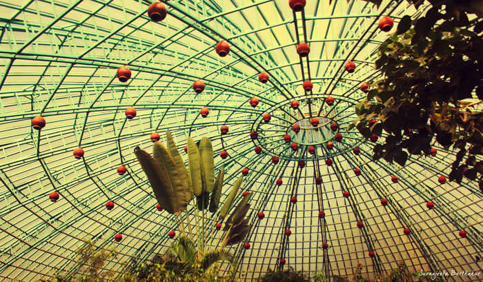The Butterfly Conservatory in Banerghatta National Park