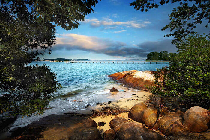 Chek Jawa is the most serene of the places to visit in Singapore for free