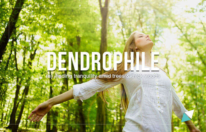 Dendrophile