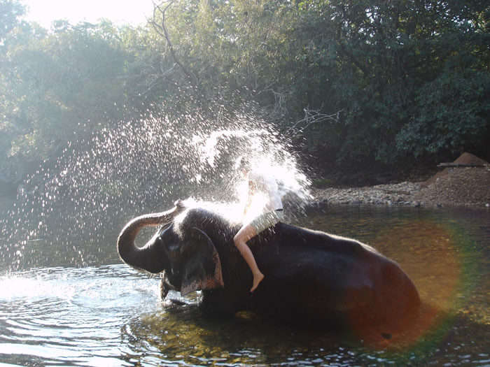 An elephant splashing water on a backpacker