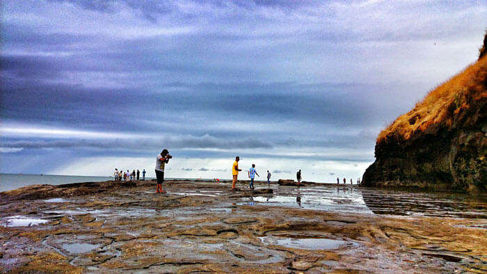 Turtle Festival at Harihareshwar Beach