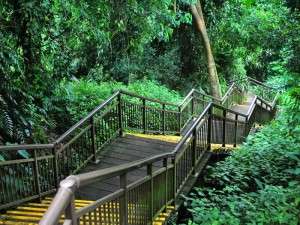 Trail at Mount Faber is a great place to visit in Singapore for free