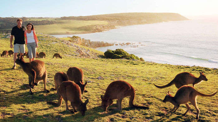 Kangaroo Island is one of the most indulgent places to visit in Australia for honeymoon