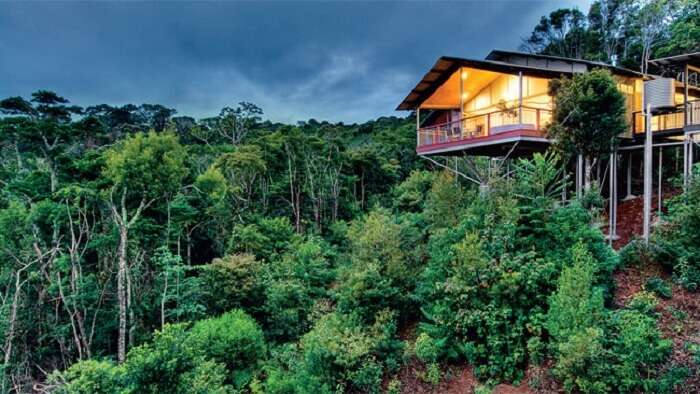 The O’Reilly’s Rainforest retreat amongst the dense green