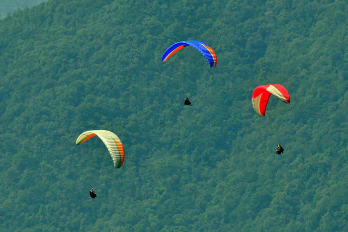 Paragliding in Himachal amidst the greenery of hills