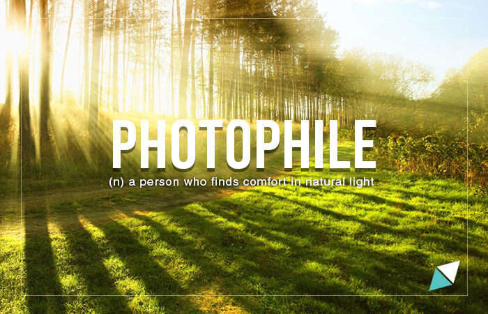 Photophile