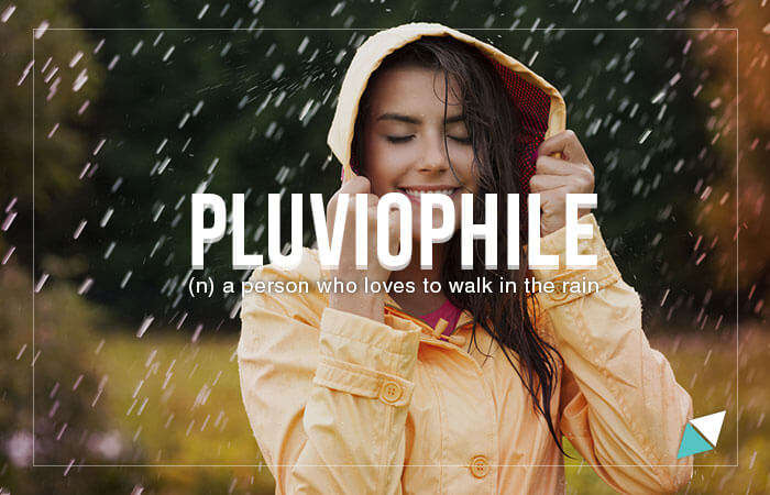 Pluviophile