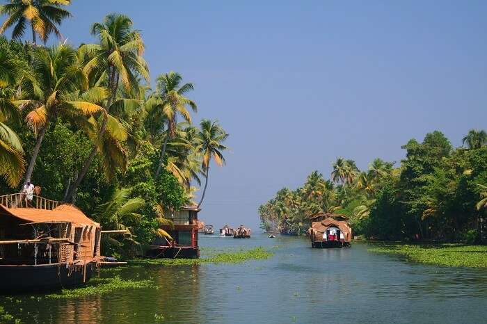 Ride the boats in the backwaters at Alleppey which is one of the best places to visit in winter in December