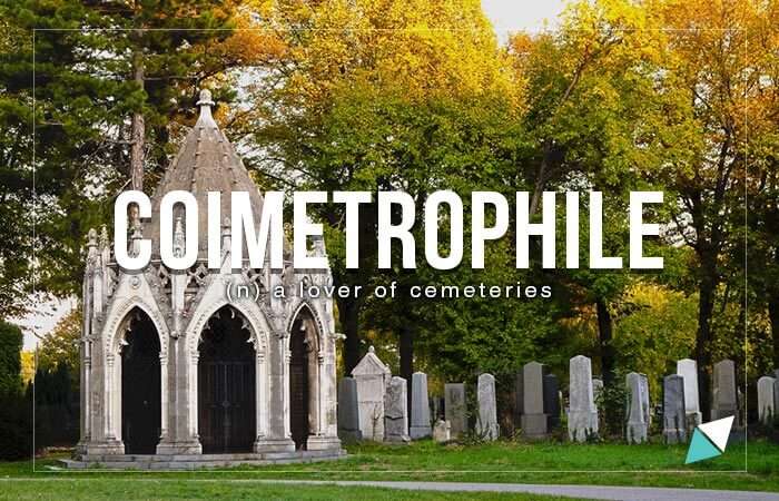 coimeterophile