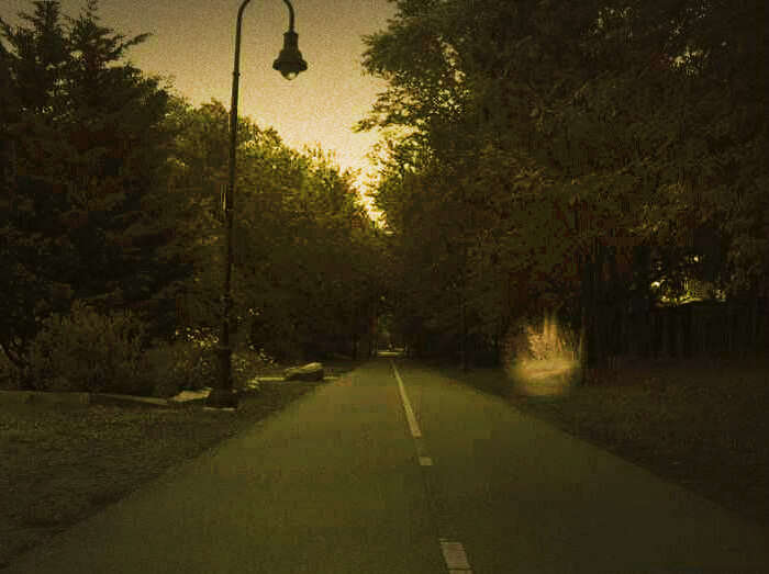 A haunted road in the Delhi Cantonment area