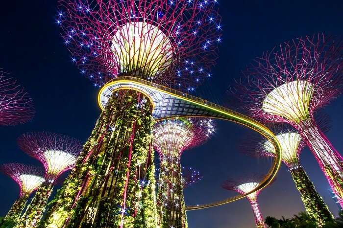 A night view of the Gardens By The Sea in Singapore