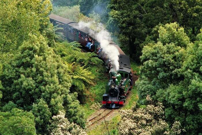 A ride of Puffing Billy through the greenery of the Dandenong