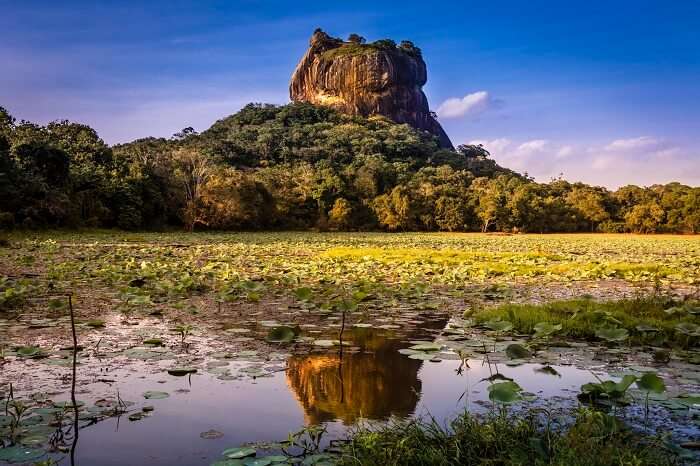 The reflection and the fortress of Sigiriya Rock in Sri Lanka