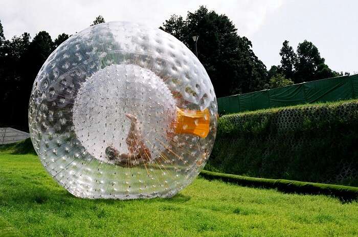 A person indulging in Zorbing in Manali
