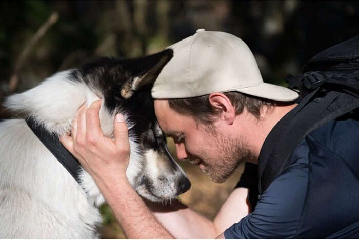 Husky and Henry on a trip