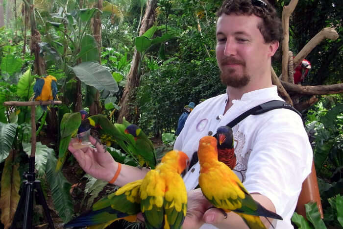 Butterfly Park And Insect Kingdom in Singapore