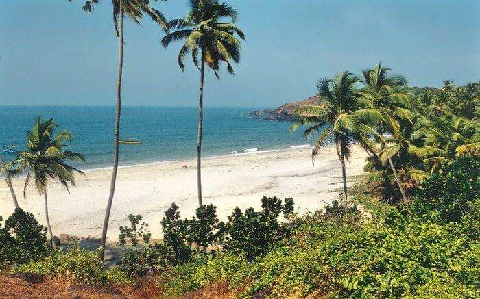 Cavelossim Beach in Goa