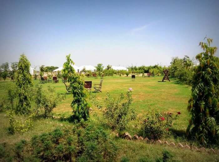 The area surrounding the tents at Sultan Bagh