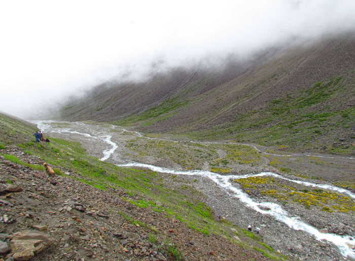 Too silent Kinner Kailash Circuit Hike