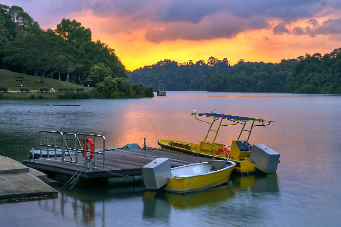 MacRitchie Reservoir in Singapore