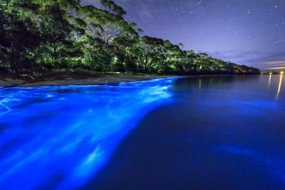 20 Best Beaches In New Zealand For A Romantic Holiday