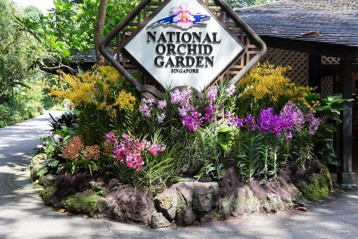 National Orchid Garden in Singapore