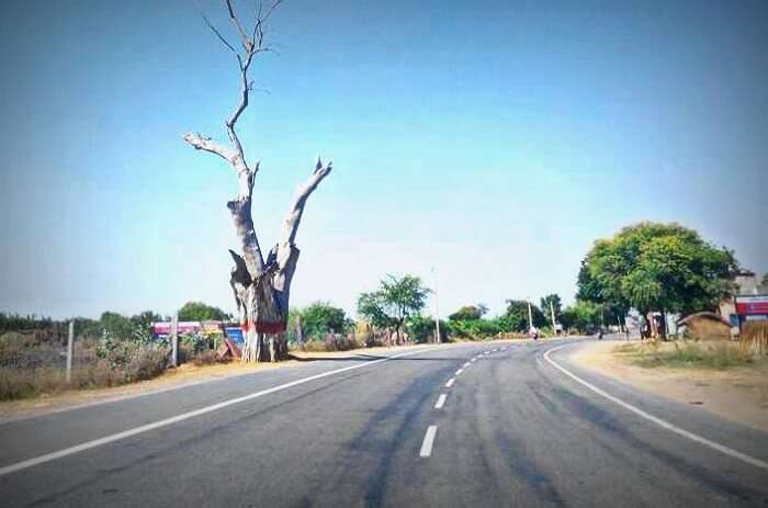 Shortcut to Bhangur