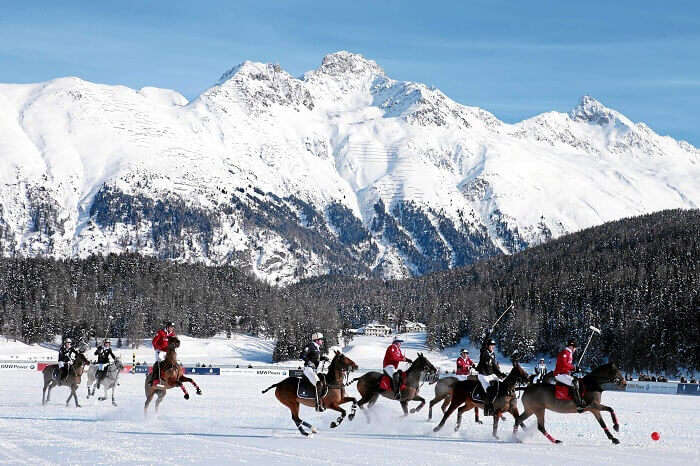 Snow polo in the snow lands of St Moritz