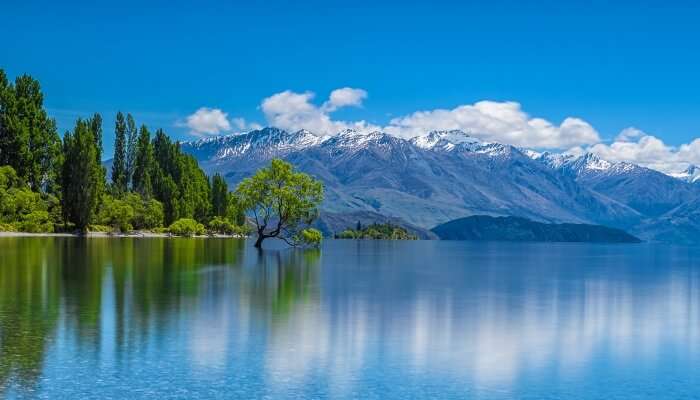 Wanaka