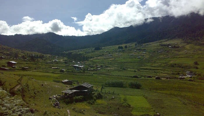 Wangduephodrang