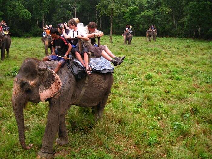 Tourists enjoy elephant safari at Chitwan in Nepal